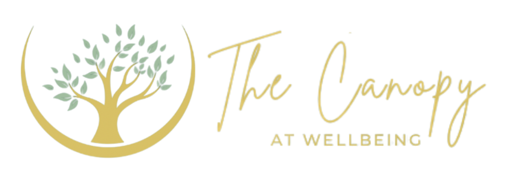 https://wellbeingstaugustine.websitedesignvineyard.com/wp-content/uploads/2025/10/cropped-The-Canopy-Logo.png